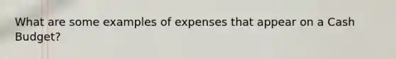 What are some examples of expenses that appear on a Cash Budget?