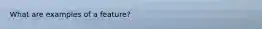 What are examples of a feature?