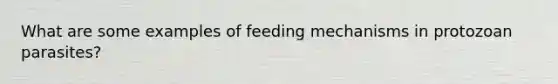 What are some examples of feeding mechanisms in protozoan parasites?