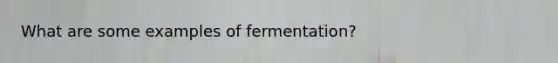 What are some examples of fermentation?