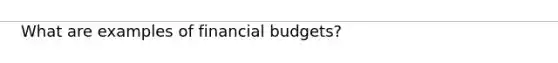 What are examples of financial budgets?