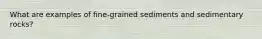 What are examples of fine-grained sediments and sedimentary rocks?