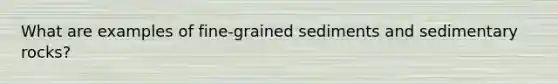 What are examples of fine-grained sediments and sedimentary rocks?