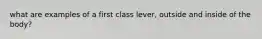 what are examples of a first class lever, outside and inside of the body?