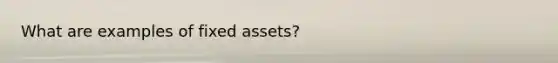 What are examples of fixed assets?