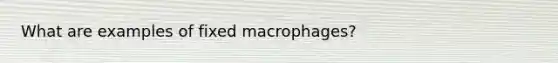 What are examples of fixed macrophages?