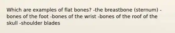 Which are examples of flat bones? -the breastbone (sternum) -bones of the foot -bones of the wrist -bones of the roof of the skull -shoulder blades