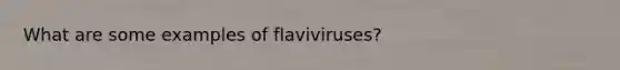 What are some examples of flaviviruses?