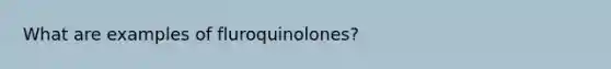 What are examples of fluroquinolones?