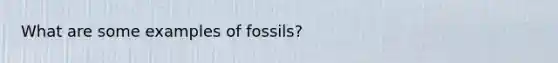 What are some examples of fossils?