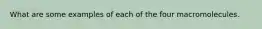 What are some examples of each of the four macromolecules.