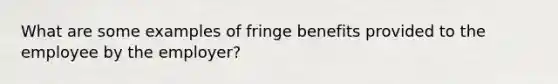 What are some examples of fringe benefits provided to the employee by the employer?