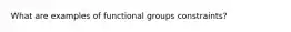 What are examples of functional groups constraints?