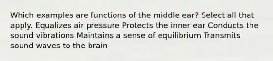 Which examples are functions of the middle ear? Select all that apply. Equalizes air pressure Protects the inner ear Conducts the sound vibrations Maintains a sense of equilibrium Transmits sound waves to the brain