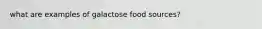 what are examples of galactose food sources?