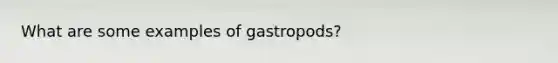 What are some examples of gastropods?