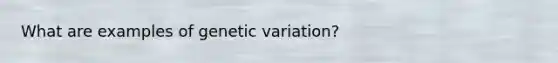 What are examples of genetic variation?