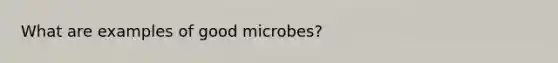 What are examples of good microbes?