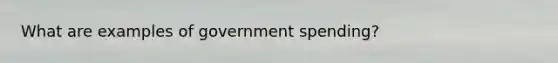 What are examples of government spending?