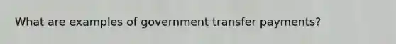 What are examples of government transfer payments?