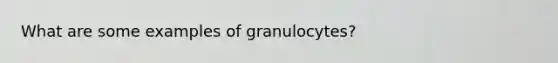 What are some examples of granulocytes?