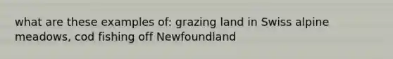 what are these examples of: grazing land in Swiss alpine meadows, cod fishing off Newfoundland