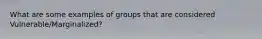 What are some examples of groups that are considered Vulnerable/Marginalized?