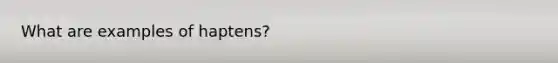 What are examples of haptens?