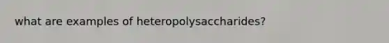 what are examples of heteropolysaccharides?