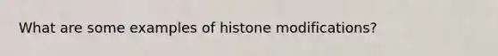 What are some examples of histone modifications?