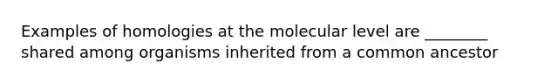 Examples of homologies at the molecular level are ________ shared among organisms inherited from a common ancestor