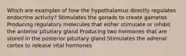 Which are examples of how the hypothalamus directly regulates endocrine activity? Stimulates the gonads to create gametes Producing regulatory molecules that either stimulate or inhibit the anterior pituitary gland Producing two hormones that are stored in the posterior pituitary gland Stimulates the adrenal cortex to release vital hormones