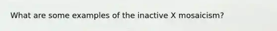 What are some examples of the inactive X mosaicism?