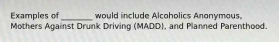 Examples of ________ would include Alcoholics Anonymous, Mothers Against Drunk Driving (MADD), and Planned Parenthood.