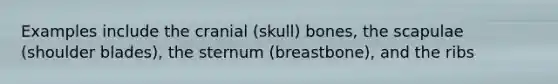 Examples include the cranial (skull) bones, the scapulae (shoulder blades), the sternum (breastbone), and the ribs