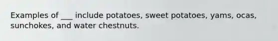 Examples of ___ include potatoes, sweet potatoes, yams, ocas, sunchokes, and water chestnuts.