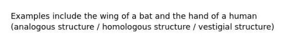 Examples include the wing of a bat and the hand of a human (analogous structure / homologous structure / vestigial structure)