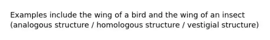 Examples include the wing of a bird and the wing of an insect (analogous structure / homologous structure / vestigial structure)