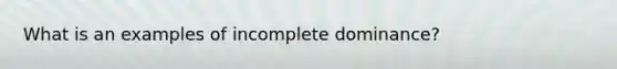 What is an examples of incomplete dominance?