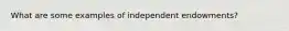 What are some examples of independent endowments?