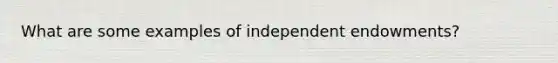 What are some examples of independent endowments?