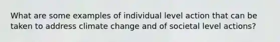 What are some examples of individual level action that can be taken to address climate change and of societal level actions?