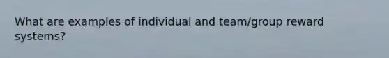 What are examples of individual and team/group reward systems?