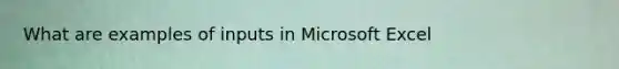What are examples of inputs in Microsoft Excel