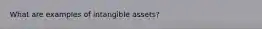 What are examples of intangible assets?
