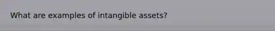 What are examples of intangible assets?