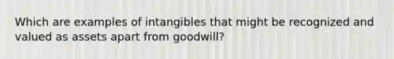 Which are examples of intangibles that might be recognized and valued as assets apart from goodwill?