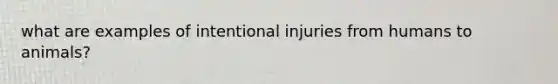 what are examples of intentional injuries from humans to animals?