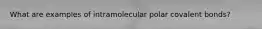 What are examples of intramolecular polar covalent bonds?