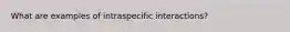 What are examples of intraspecific interactions?